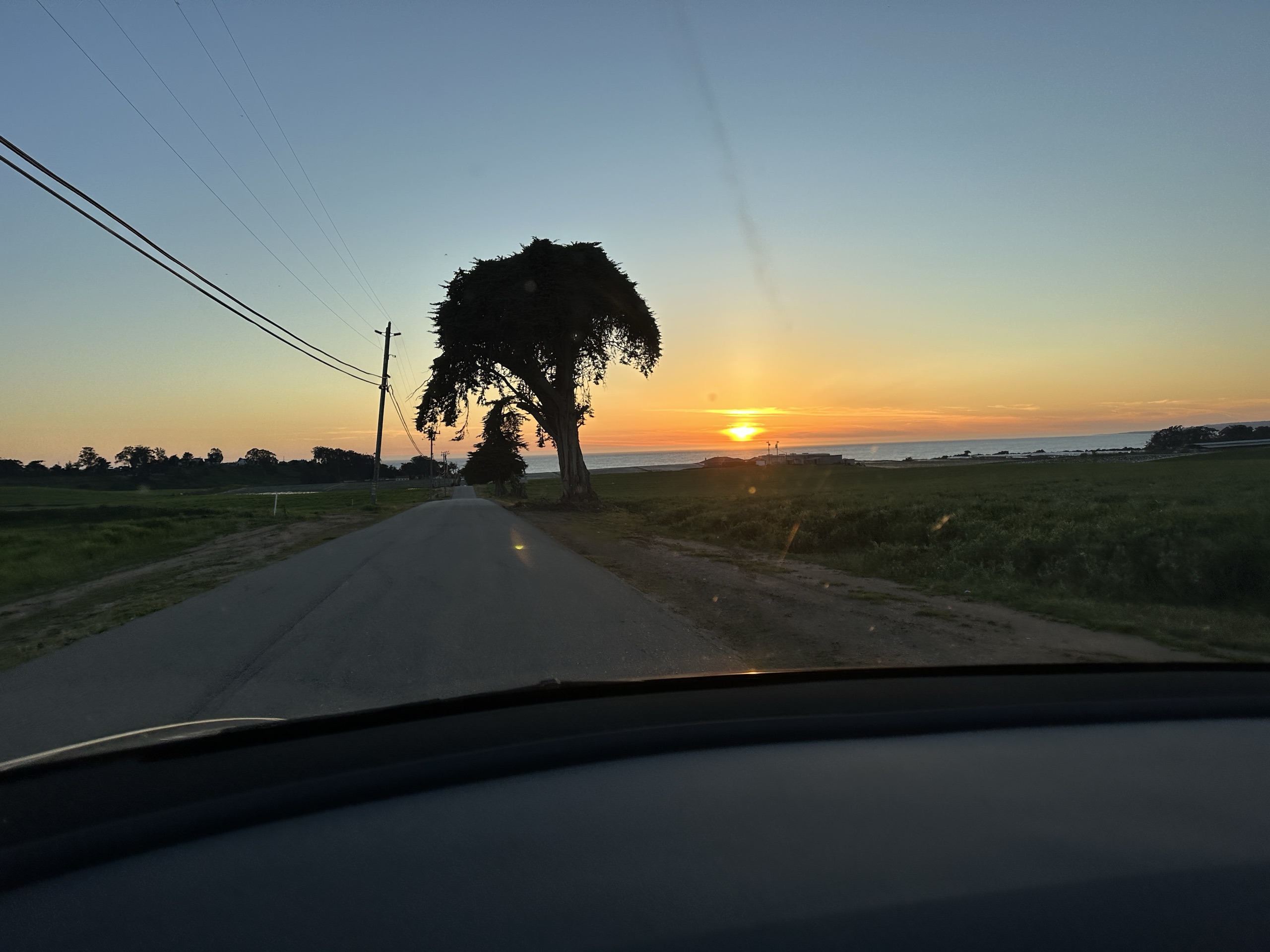 Sunset over the Pacific seen through a windshield, a single wind-bent tree silhouetted against the orange sky