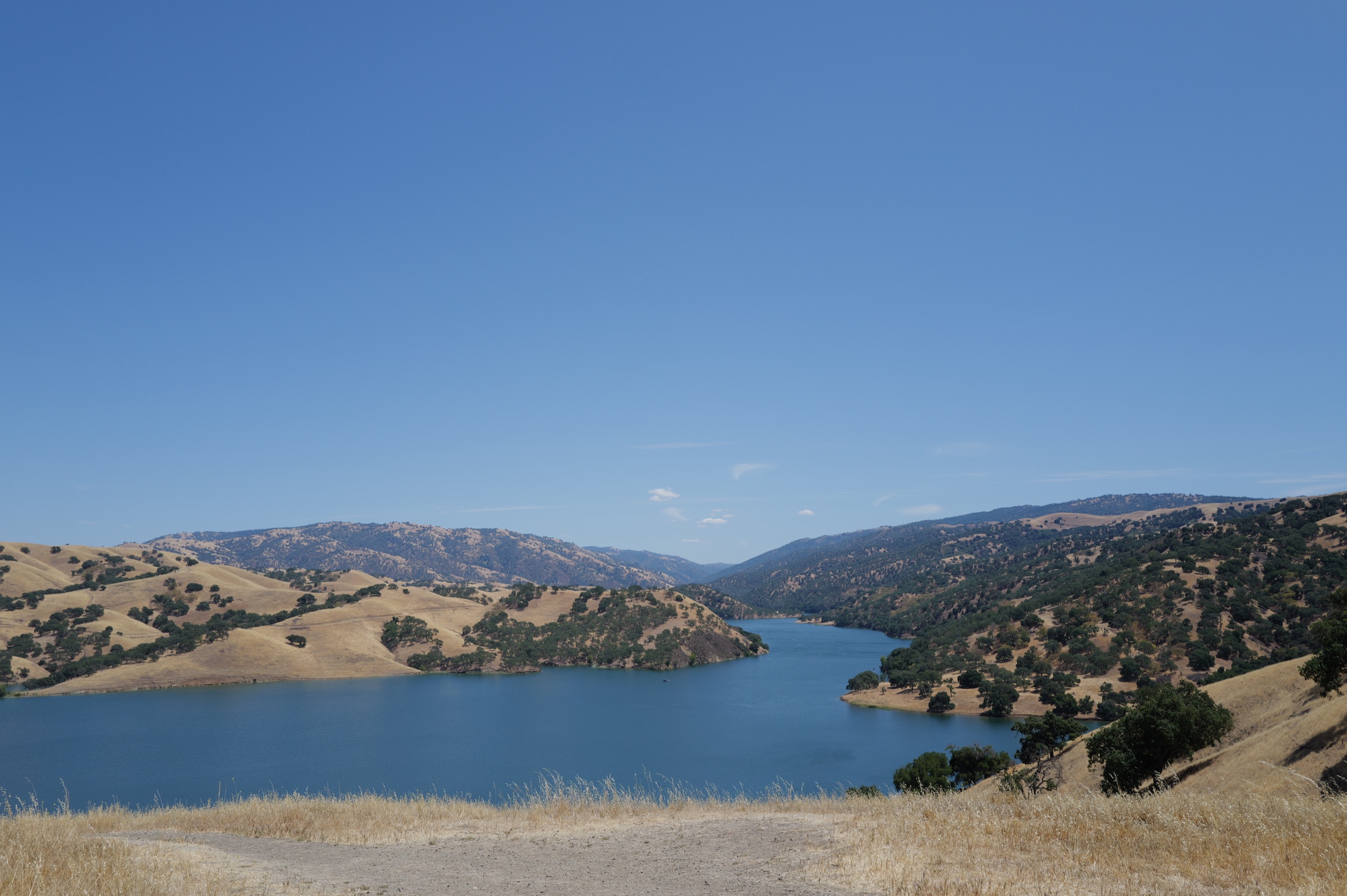 A wide view of Lake Del Valle from a hillside, golden hills with scattered oaks on both sides of a long narrow lake