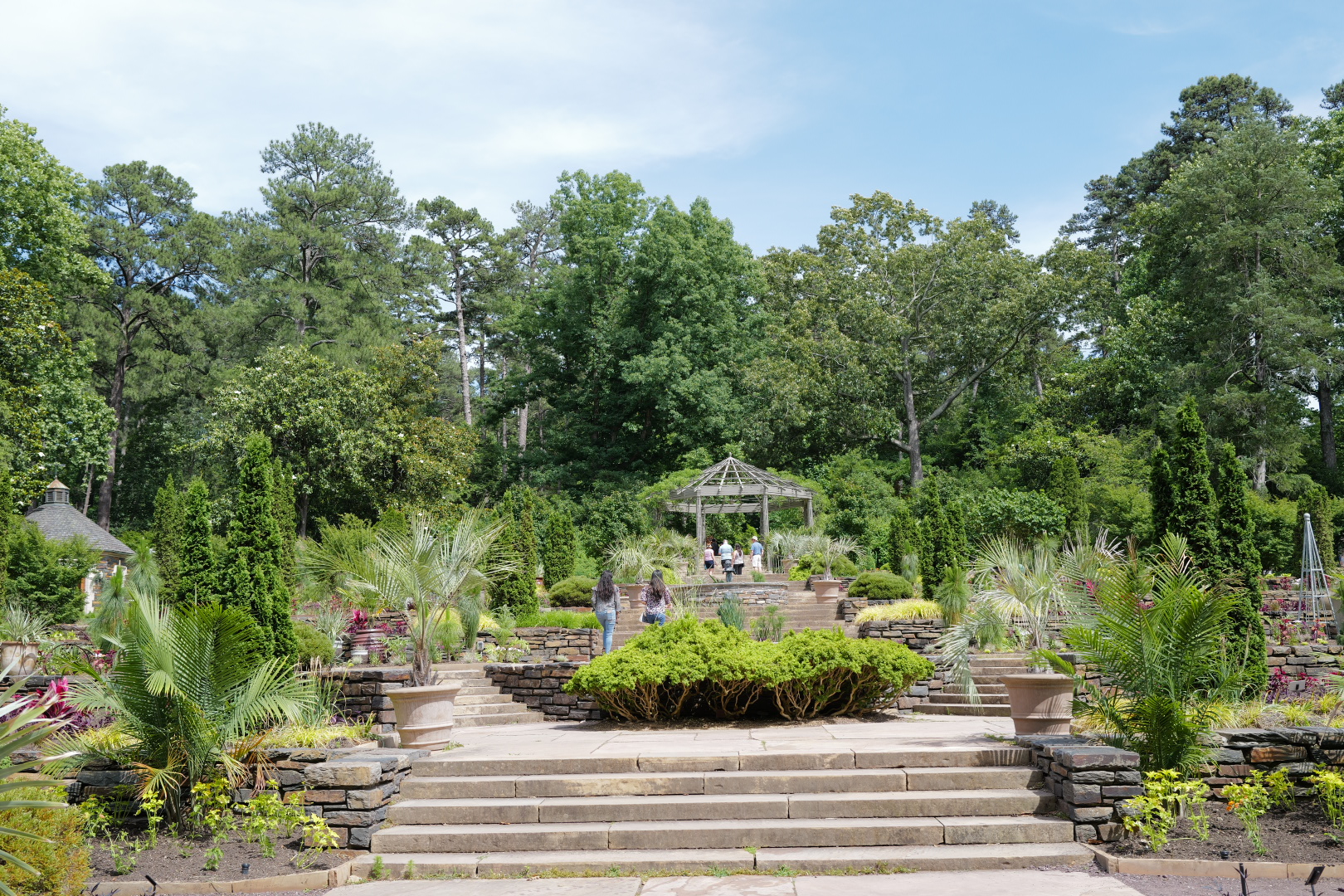 Stone steps leading up through a manicured Italianate garden at Duke University — palmettos, gazebo, dense green canopy beyond