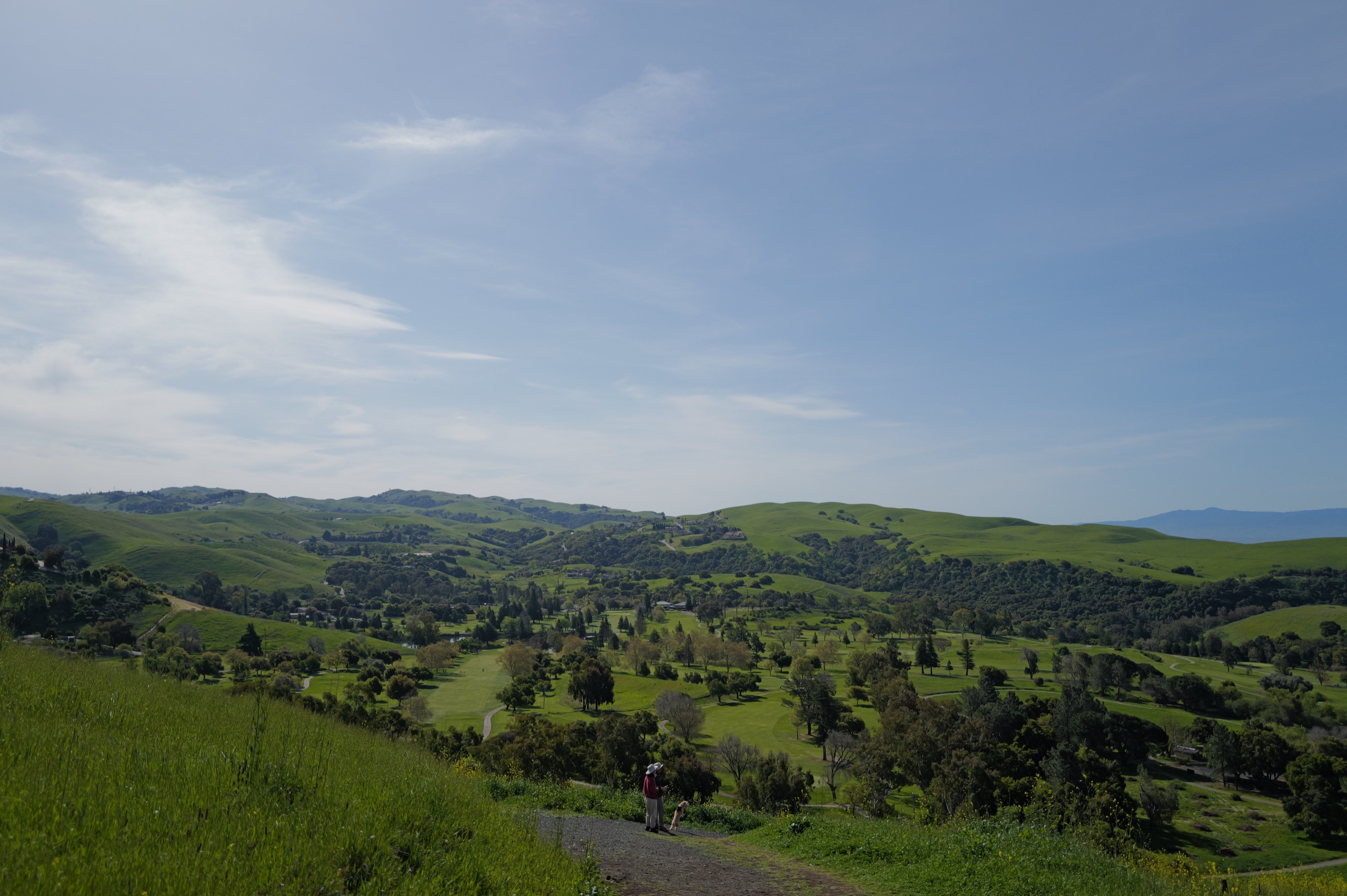 Bay Area hills in early April, a wide panorama of rolling green ridges with the South Bay visible in the distance